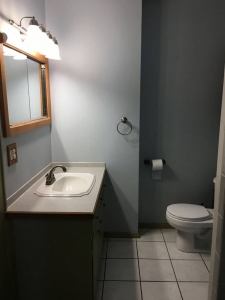rental apartments in Cortland New York 2 Otter Creek Bathroom 3