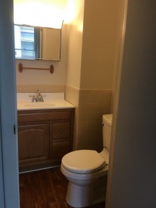 Student Apartments for Rent in Cortland 26 Groton Ave Apt B Bathroom